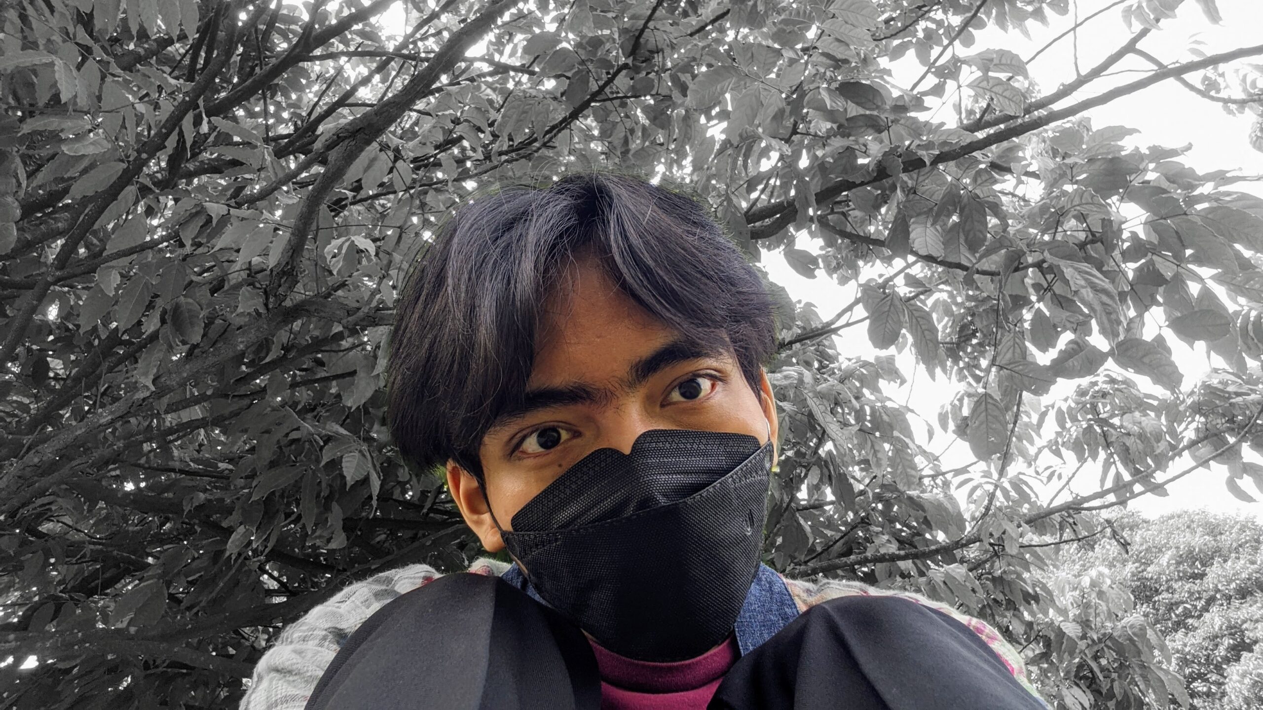 Muhammad Irzam Fharhany